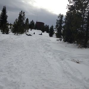 Meet your Posher, Maureen